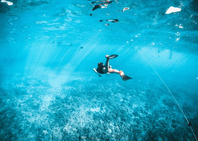 Tutti I consigli per tuffarsi nello snorkeling