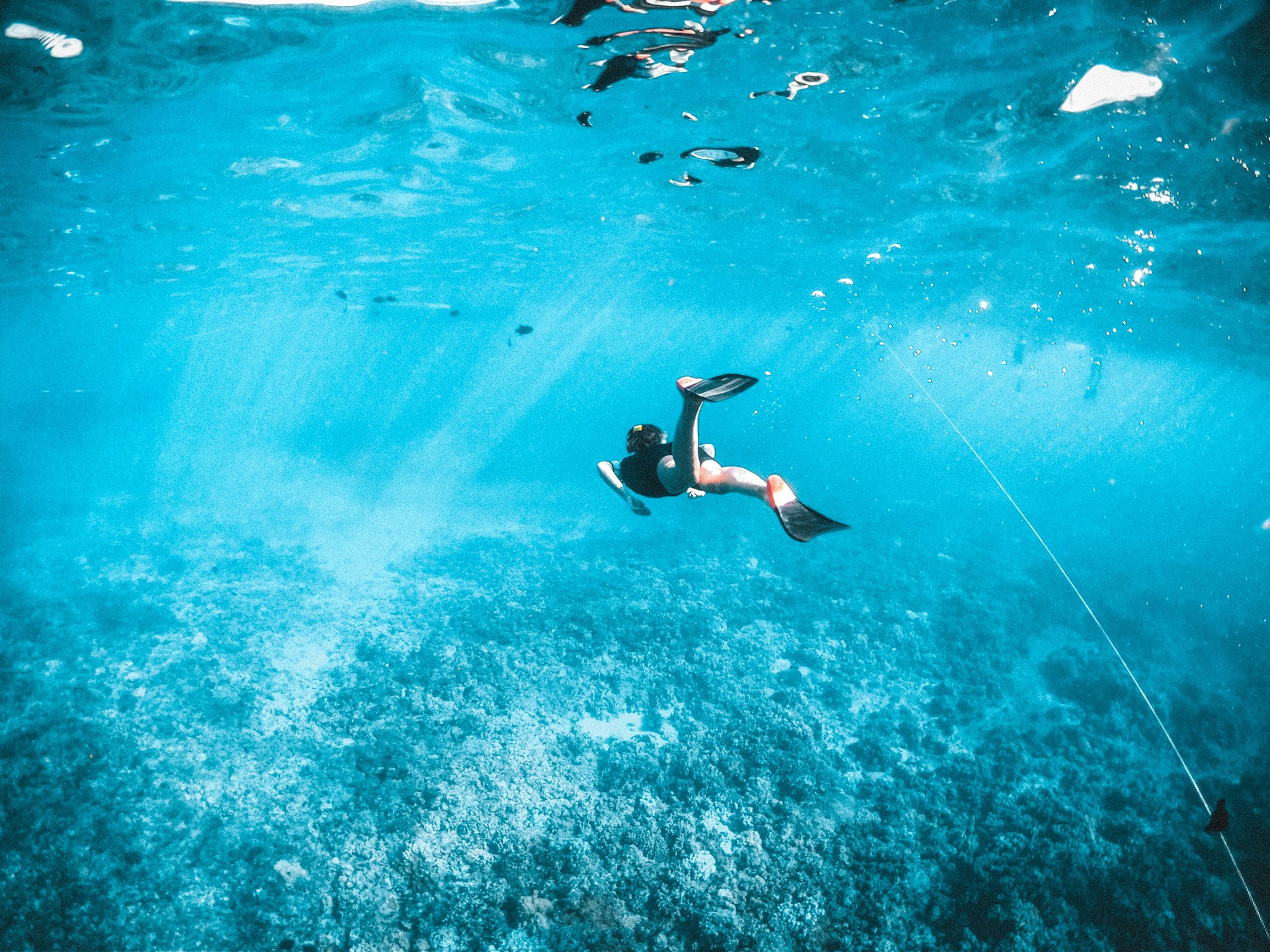 Tutti I consigli per tuffarsi nello snorkeling